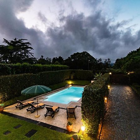 Casa Do Pinheiro With Shared Swimming Pool Villa São Vicente Ferreira Dış mekan fotoğraf