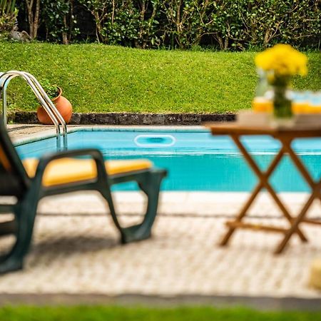 Casa Do Pinheiro With Shared Swimming Pool Villa São Vicente Ferreira Dış mekan fotoğraf