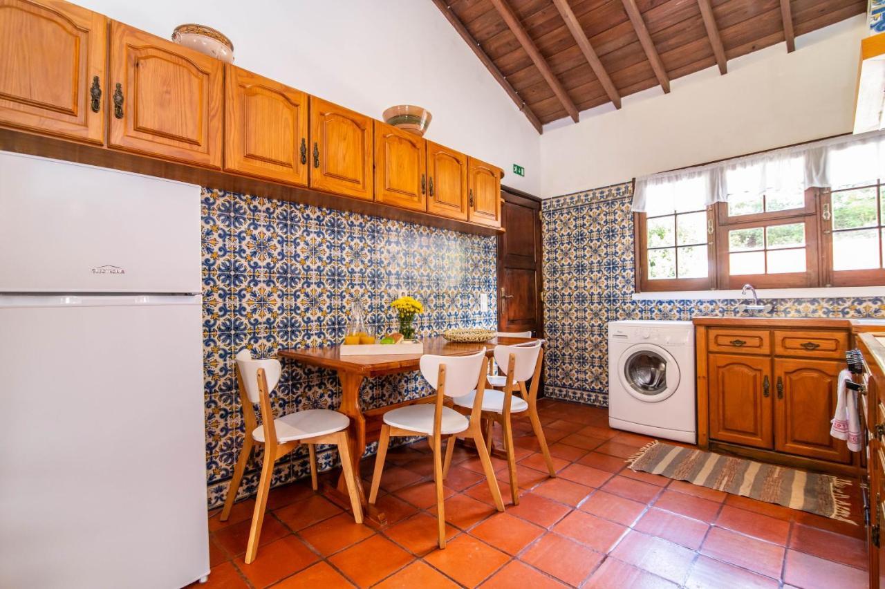 Casa Do Pinheiro With Shared Swimming Pool Villa São Vicente Ferreira Dış mekan fotoğraf