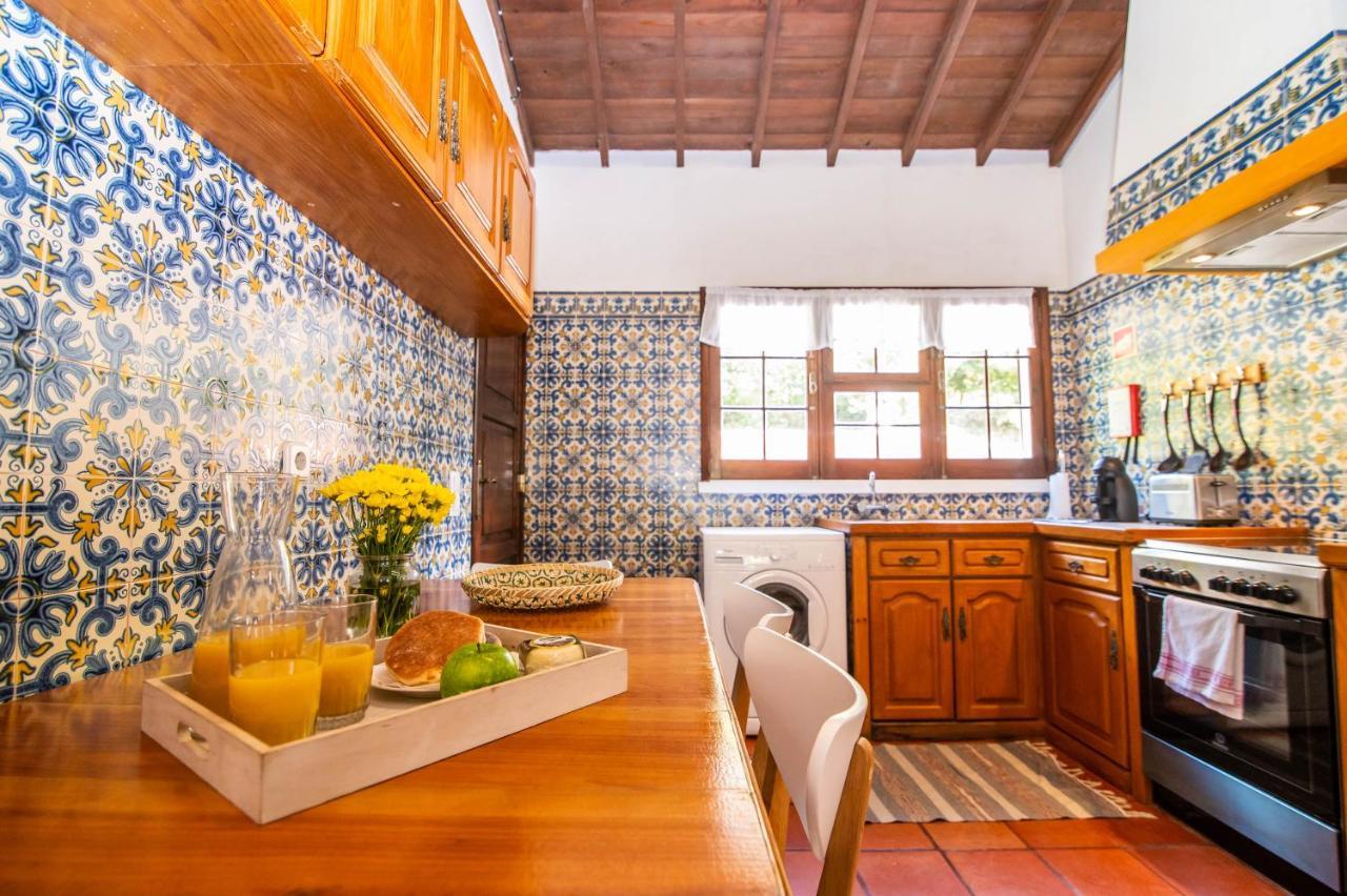 Casa Do Pinheiro With Shared Swimming Pool Villa São Vicente Ferreira Dış mekan fotoğraf