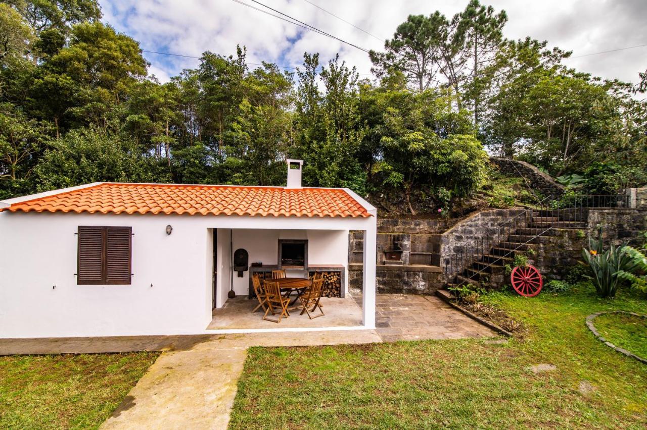 Casa Do Pinheiro With Shared Swimming Pool Villa São Vicente Ferreira Dış mekan fotoğraf